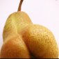 Sexiest Pear You've Ever Seen