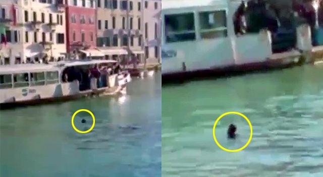 TOURISTS LAUGH AT REFUGEE DROWNING