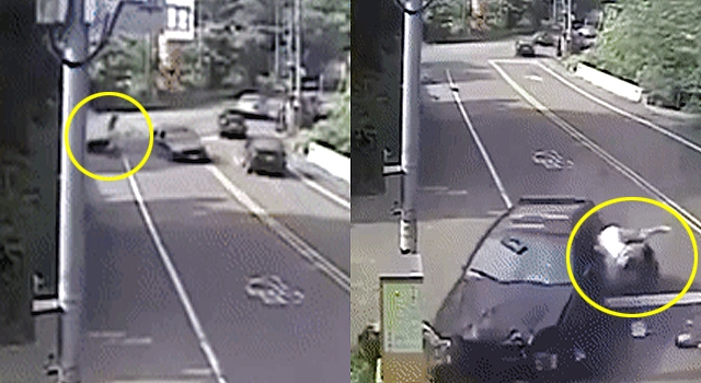 CAR THIEF IMPRESSIVELY TAKES OUT 2 SEPARATE BIKERS