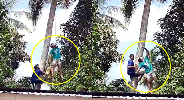 HOW THE FUCK? COCONUT BOY ACCIDENTALLY HANGS HIMSELF