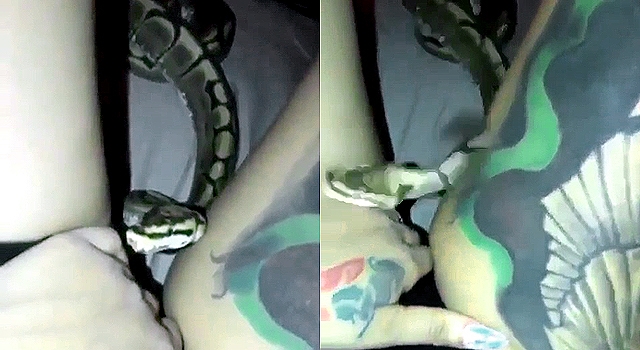 ANNND THAT'S WHY YOU DON'T PUT A SNAKE NEAR YOUR VAGINA