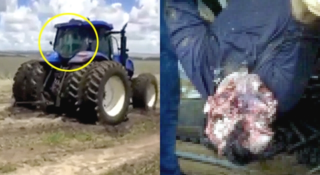 TRACTOR DRIVER LITERALLY GETS FACE TORN OFF