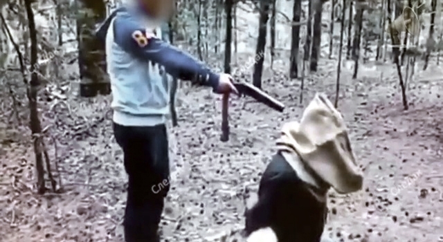 PURE SAVAGERY: GANG FORCED HIM TO EXECUTE HIS FRIEND