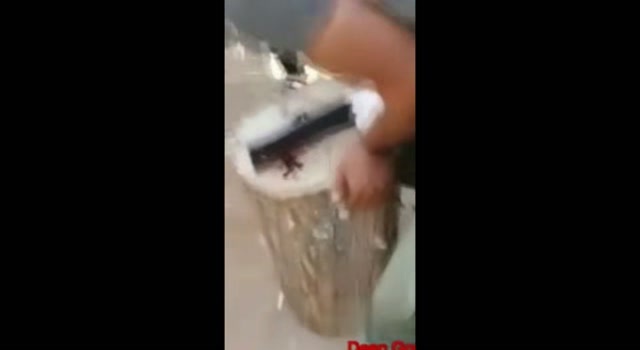 lets give this guy a  hand