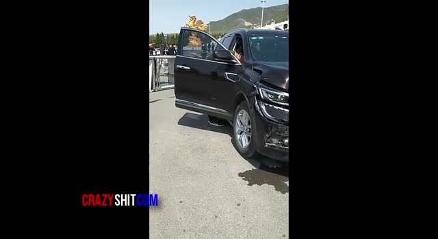 Wrong pedal killer