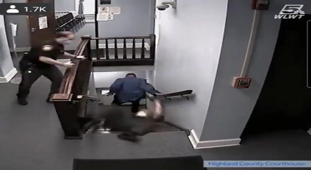Pig breaks ribs trying to play hero