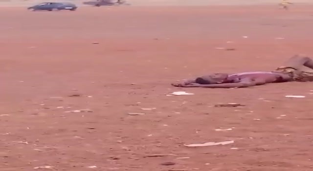 man lynched by capacitors in the field