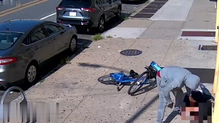 new york shitty