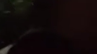 What A Annoying Bitch
