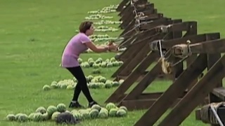 making melons pop