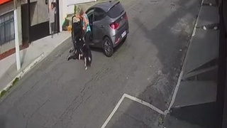 They Have Handbrakes