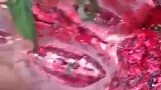 Man attacked by dragon