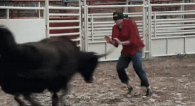 blindfolded bullfight