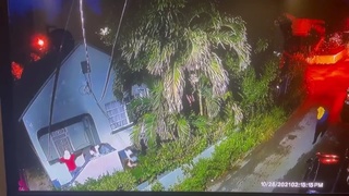 Jamaican gang deadly shooting