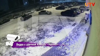 31YO woman falls to her death