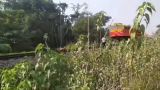 Train Dodge