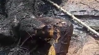 Farmer burnt to ashes