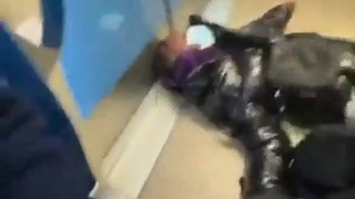 the train is racist