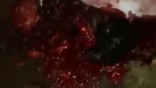 Aftermath of double execution in Bull Bay