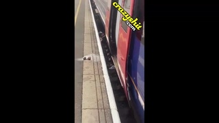 Man on tracks