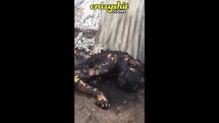Aftermath of the petrol tanker explosion