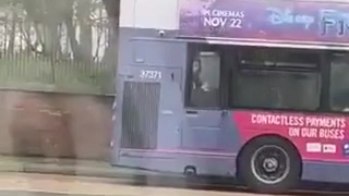 Bus of love