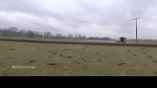 German Xmas - Tree Mortar
