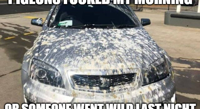 my car needs cleaning