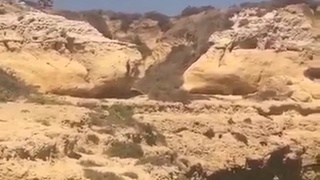 He had a boat to catch