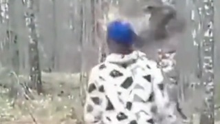 Bop