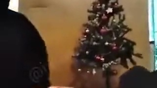 Oh Christmas Tree