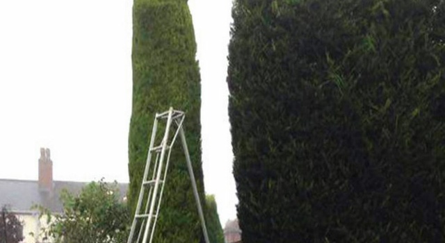 gardening