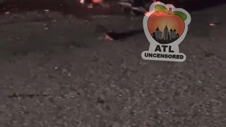 Roadkill