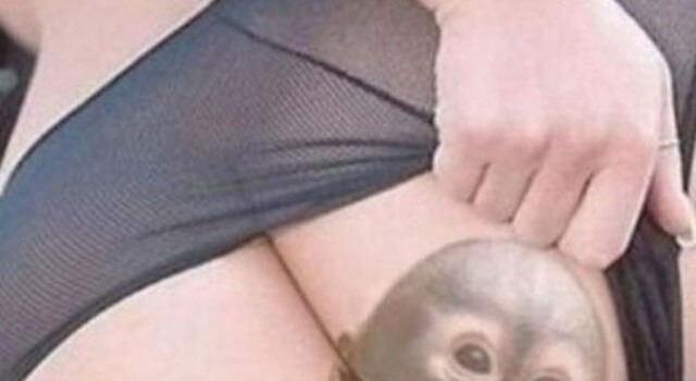 Monkey Scat Porn - Making Memes Extreme - Crazy Shit