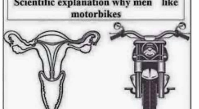 vagina vs motorcycle
