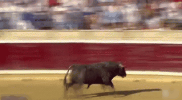 bull incoming