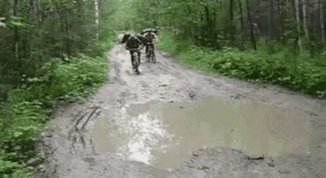 mountain bike accidents