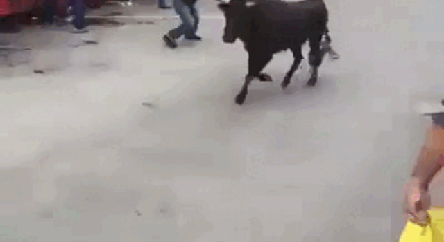 CrazyShit.com | What's the beef? - Crazy Shit