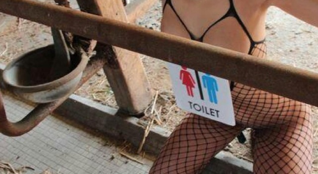 Public…..