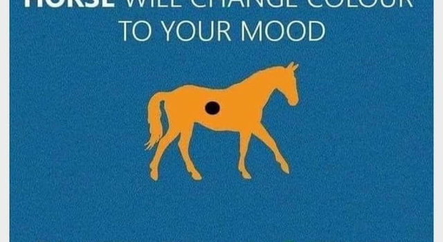 Mood Horse