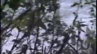 AMBUSH OF THE BRAZILIAN ARMY AGAINST FARC GUERRILLA ON THE BRAZIL-COLOMBIA BORDER