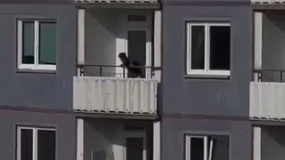 Falling out