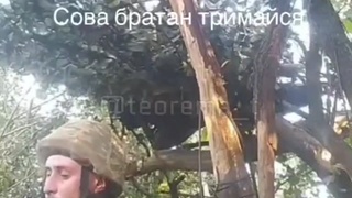Direct hit on Ukrainian position