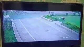 Doctor Killed By Pack Of Wild Dogs