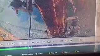Squished in El Salvador