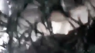 Surprise mother fucker