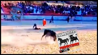 kill by bull