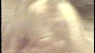 Just Lion Around