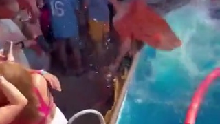 Pool party with