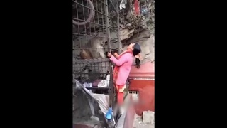 smart monkey, dumb woman